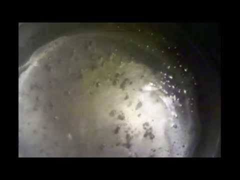 This Is Your Brain On Drugs