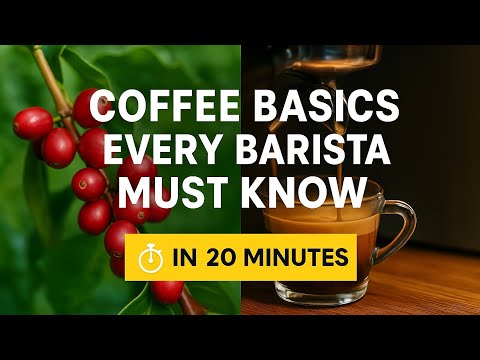 The Best Coffee Tutorial (Part 1)