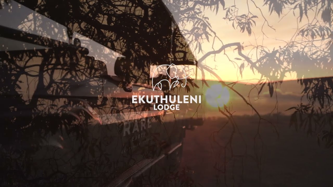 Ekuthuleni Lodge Safari Experience