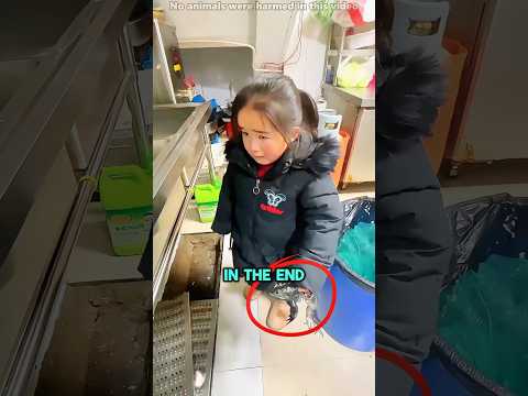 This Girl Saved A Frog From The Grim Reaper#funnyshorts #pets #cute #love