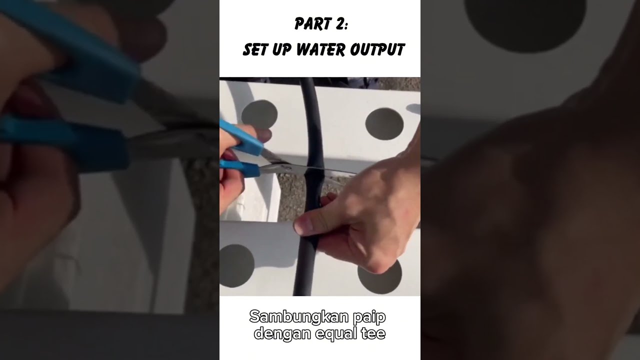 LET DIY HYROPONIC SYSTEM AT HOME?