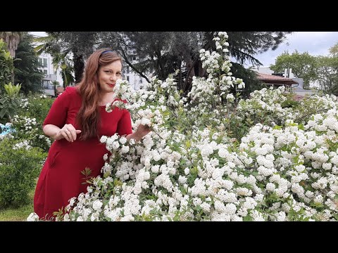 Vitrina e Librit/ Qemali, Moisiu dhe Zogu në shtypin francez - 2 Maj 2021