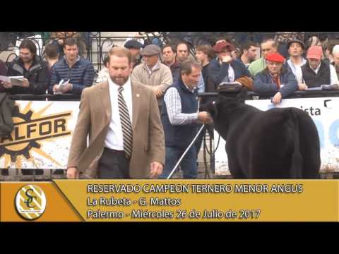 26-07-17 Jura Angus Ternero Menor - Palermo.