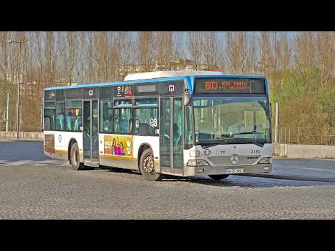 STCP 2182 (audio recording - collab) Part II