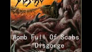Womb Full Of Scabs by Disgorge