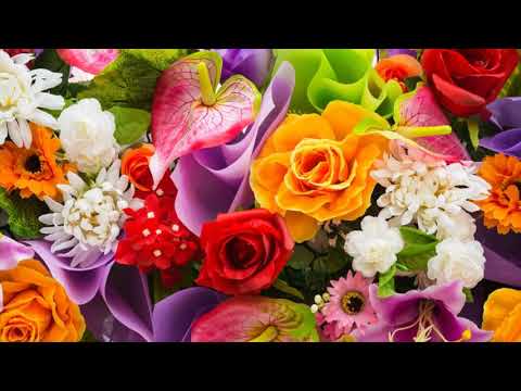 Лето. Красивая музыка, релакс