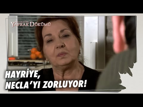 Hayriye, Necla'dan Zorla Yardım Alıyor! - Yaprak Dökümü Özel Bölüm
