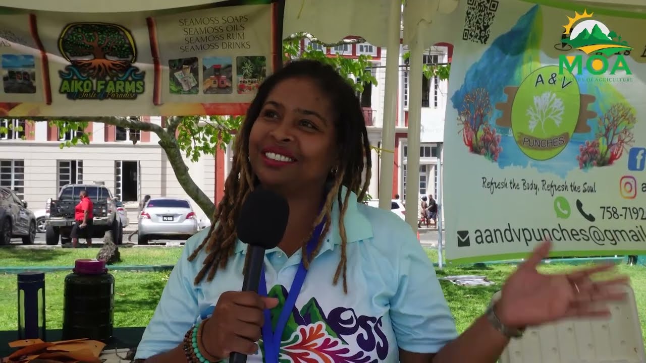 Seamoss Sent Lisi Festival Showcases Opportunities for a Sustainable Industry
