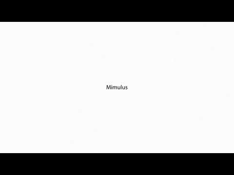 Mimulus PRONUNCIATION