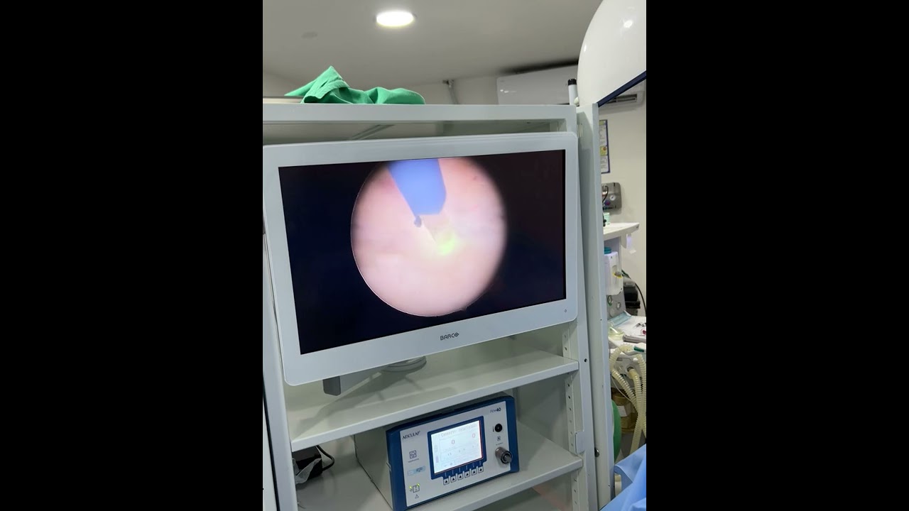 Daniel González Castellanos-9