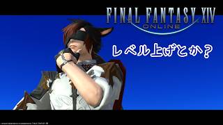 【ff14】レベル上げたり色々