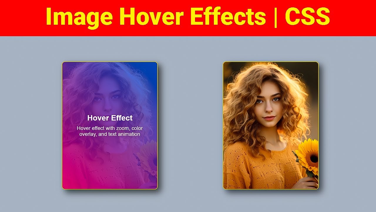 Awesome Image Hover Effects Using Only HTML & CSS! #htmlcss #csshovereffects #cssanimation