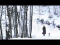 Sting-Soul Cake 