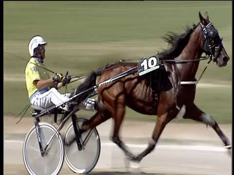 Trotto 16/09/2018 - 1ª corsa