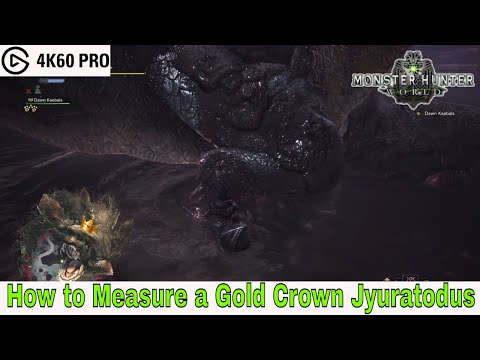 Monster Hunter: World - How to Measure a Gold Crown Jyuratodus Video