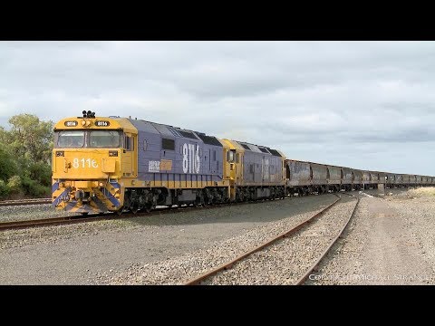 7731V Pacific National Grain Train Departing Gheringhap (2/8/2019) - PoathTV Australian Railways