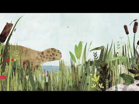 'Een schildpad was zijn schildje kwijt' door Marjet Huiberts en Carmen Saldaña