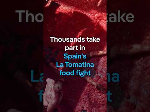 Thousands take part in Spain’s La Tomatina food fight | DW News