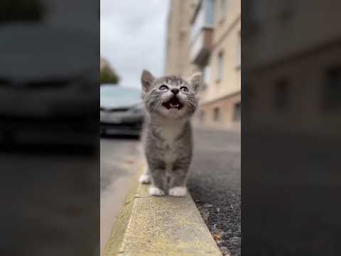 Артём выходи!