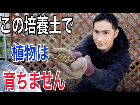 枯れ葉で培養土を作る理由と作り方は？  庭園