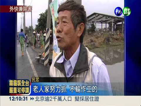 摸"螺"兼賺錢! 一斤福壽螺換8元