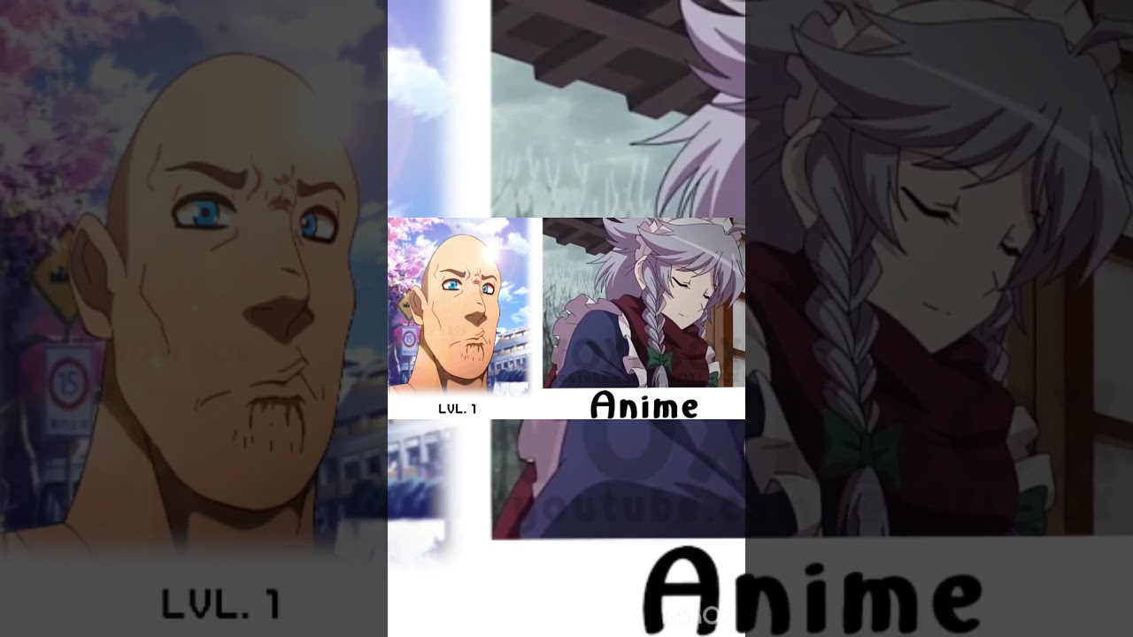 anime vs reddit the rock meme