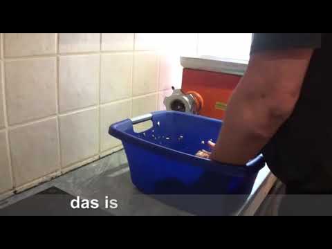 Salsiccia -italienische Bratwurst- selber machen