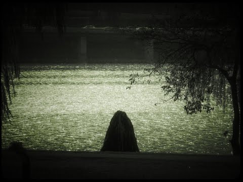 [서울독립영화제2025 페스티벌초이스 단편 쇼케이스6] 몬스트로 옵스큐라