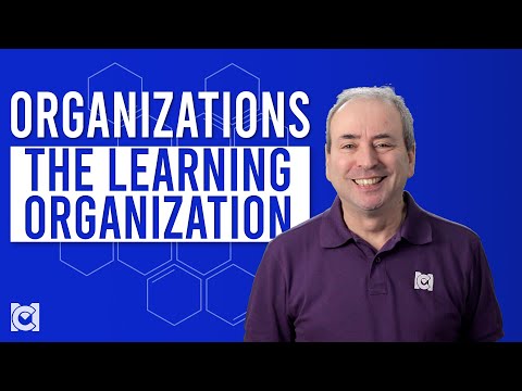 What is Peter Senge's Learning Organization?