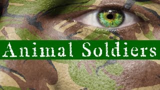 ANIMAL SOLDIERS - NEW SERIES