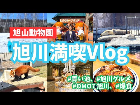 芸術・表現行動学科 【旭川観光vlog】グルメと旭山動物園堪能！OMO7旭川(星野リゾート)ホテルレビュー