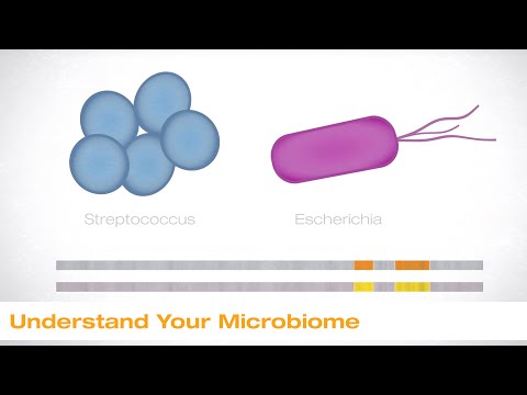 Understand Your Microbiome | Illumina Webinar