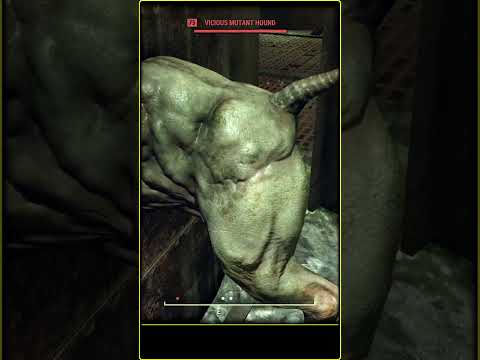 Bethesda vs FoLon Team | New Bloke on The Block