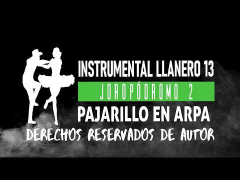 INSTRUMENTAL LLANERO 13   PISTA 2 PARA JOROPÓDROMO   PAJARILLO EN ARPA   CARDIO AL 100