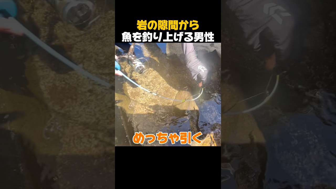 岩の隙間から魚を釣り上げる#shorts #釣り