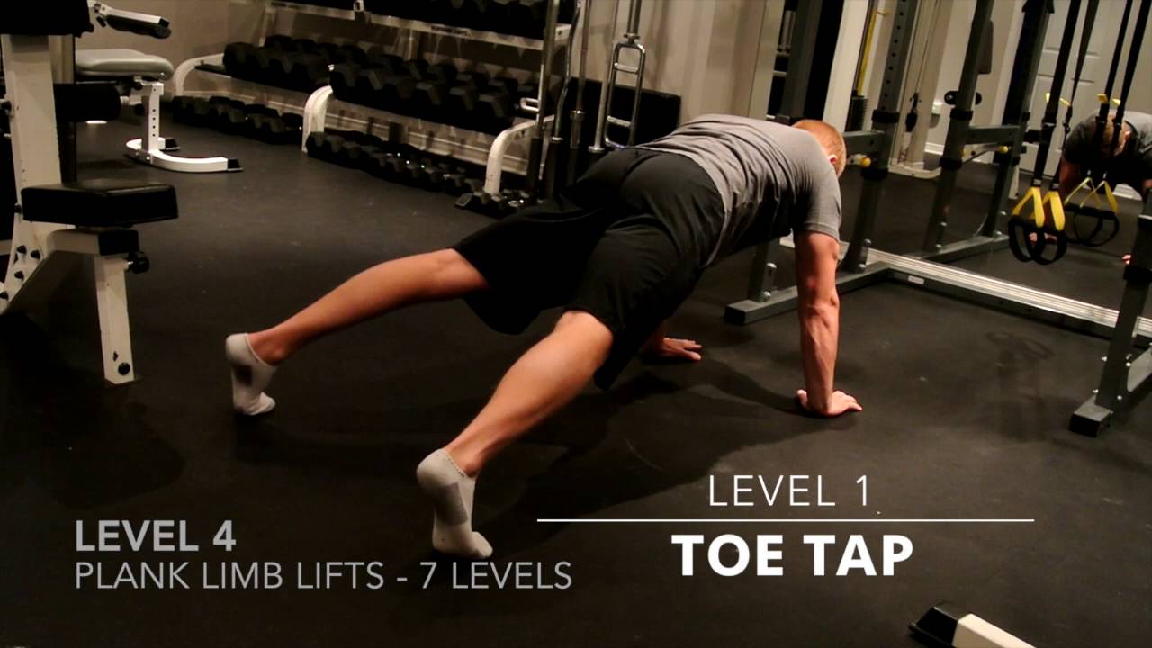 Plank Variations: Bird Dog/Plank (Levels 1-4+) - Core Stability, Isometric Exercises, 1% Fitness