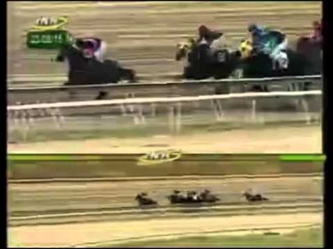 LA RINCONADA 8 CARRERA, DOMINGO 23 DE AGOSTO DEL 2015