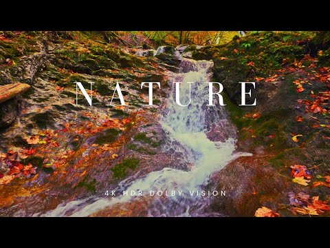 4K HDR • Relaxing Water & Autumn Forest Ambience • Piano Music | 3 Hours for Study & Sleep