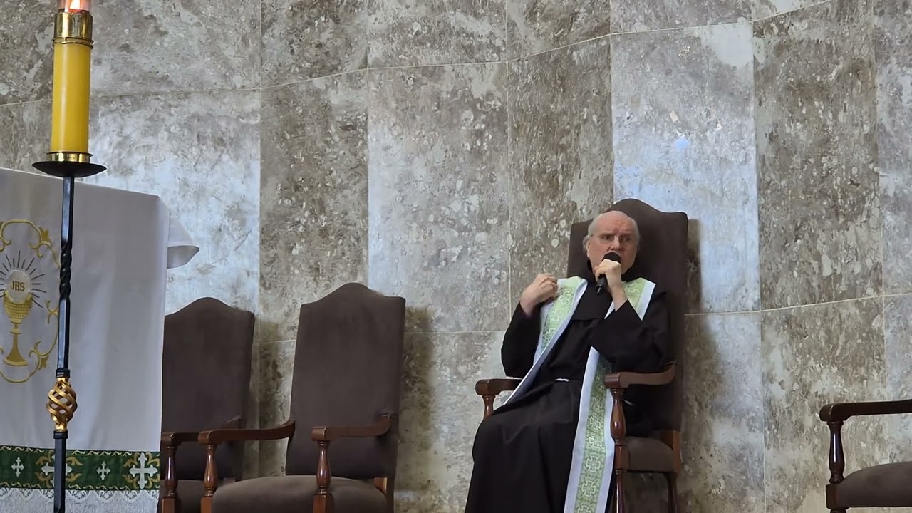 Frei Vicente Verdade e Comunhão 19.01.25