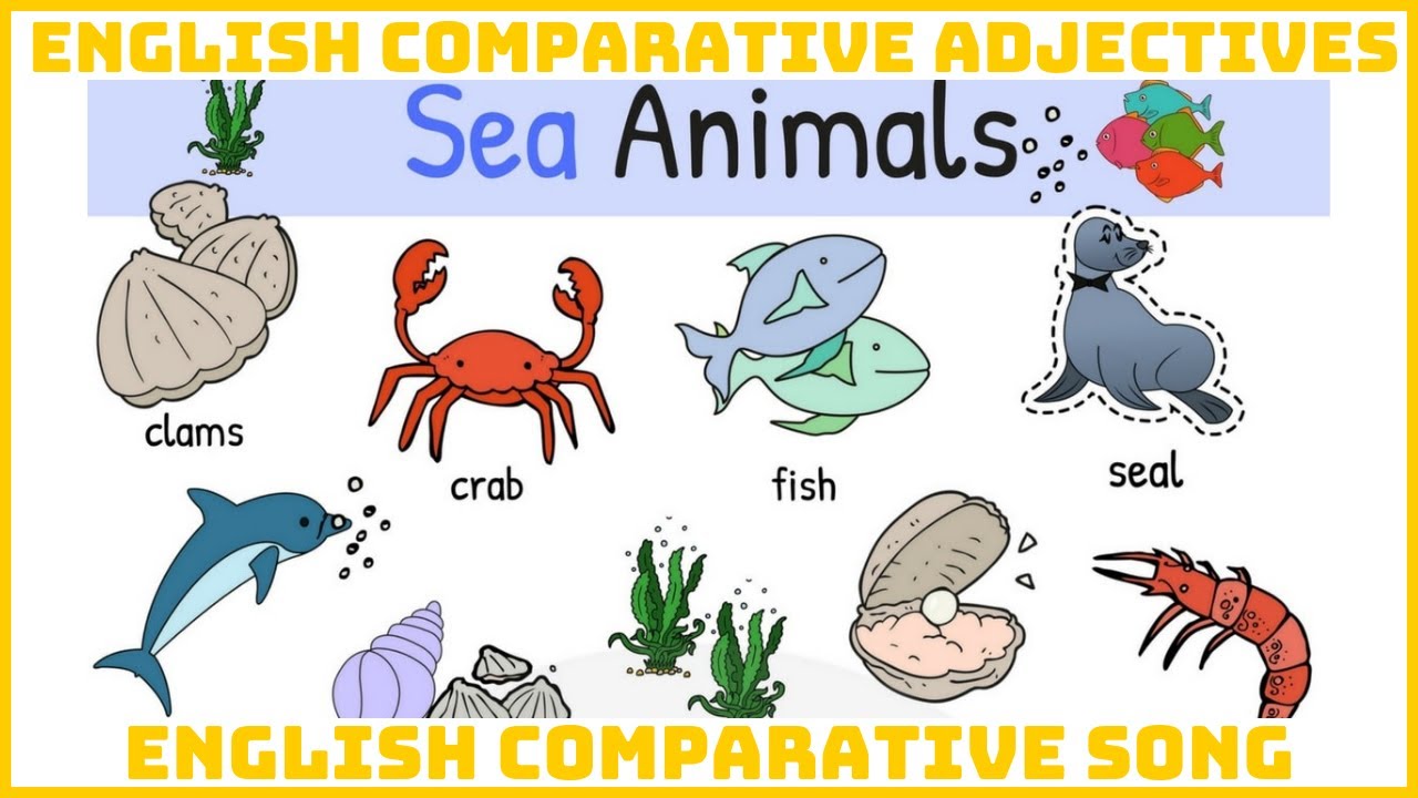 Learn comparative I Comparative Ani-mation I Sea Animals Comparative (4,55)