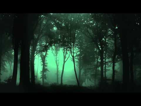 Steve Kenzo - Dark Forest