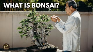 Beginner Bonsai Series - Chapter 2: The Meaning of Bonsai: Past, Present, and Future