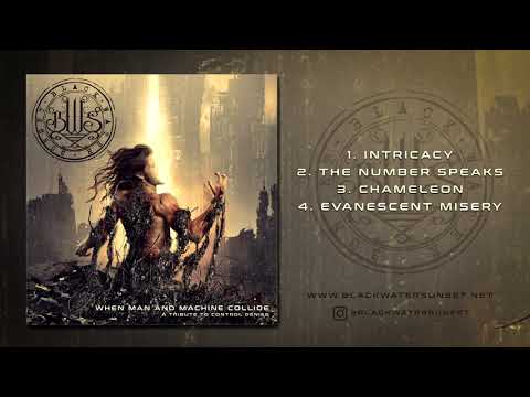 When Man and Machine Collide - A Tribute to Control Denied