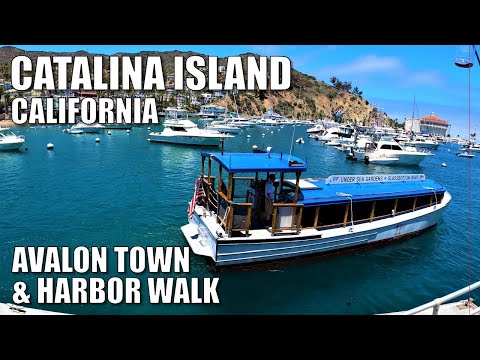 🏝 CATALINA ISLAND, CALIF  : AVALON TOWN & HARBOR WALK