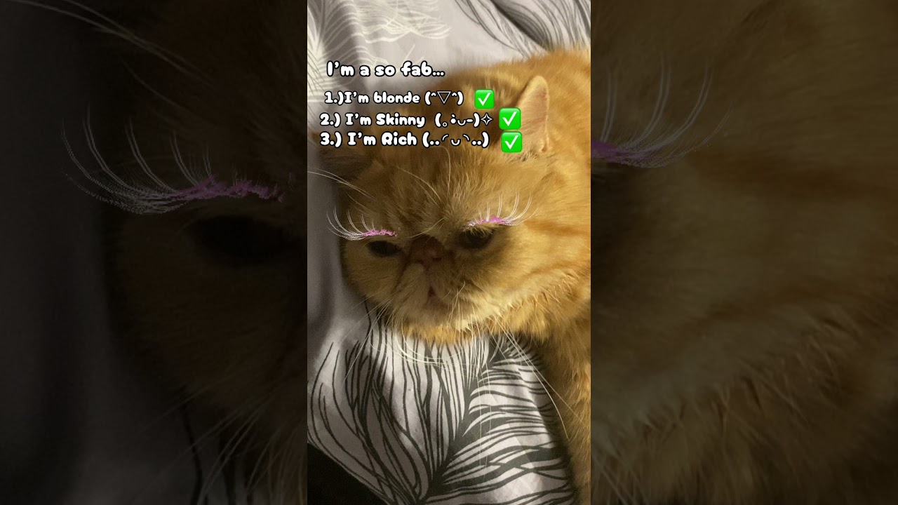 (22:03) and guuuuysss!!!Meet Simba(˶ˆ꒳ˆ˵)//и ребяткиии!!!знакомьтесь это Симба(˶ˆ꒳ˆ˵) it’s my cat!💗