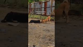 Download lagu STORY WA KEKINIAN|| TERBARU 2022||STORY WA || STATUS WA KEREN #story wa#Status🎆✨✨🎆 mp3