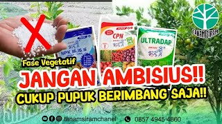Download lagu RAHASIA PEMUPUKAN JERUK FASE PERTUMBUHAN - JANGAN AMBISIUS - fase vegetatif mp3