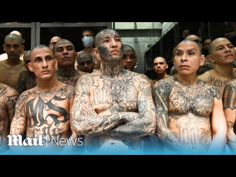 Bloodthirsty killers: Inside El Salvador’s CECOT prison of terror, home to MS-13 and Barrio 18 gangs