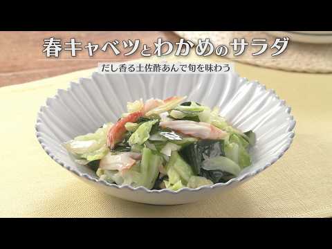 春キャベツとわかめのサラダ