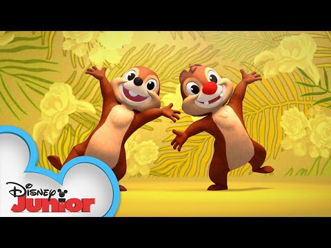 "Vem Celebrar" from Brazil | Shake Your Tail with Chip 'N Dale | @disneyjr